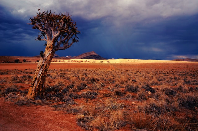 johnny-africa-YUhblDKGBNo-unsplash